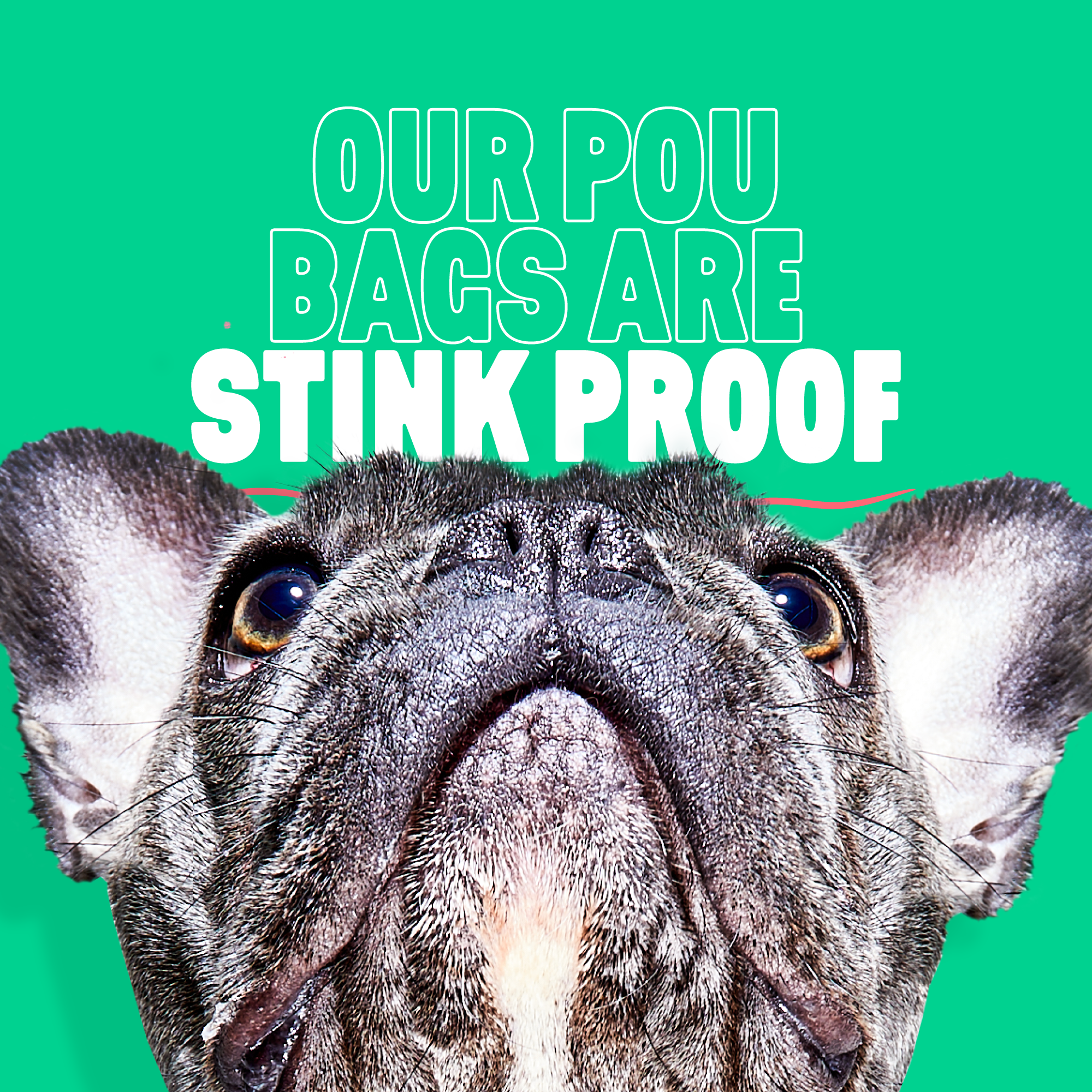 PouBelle Dog PouBags - 8 Roll, 120 count